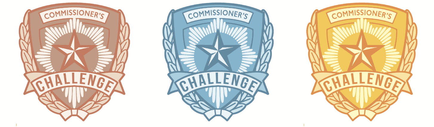 Police Crime Commissioner's Challenge